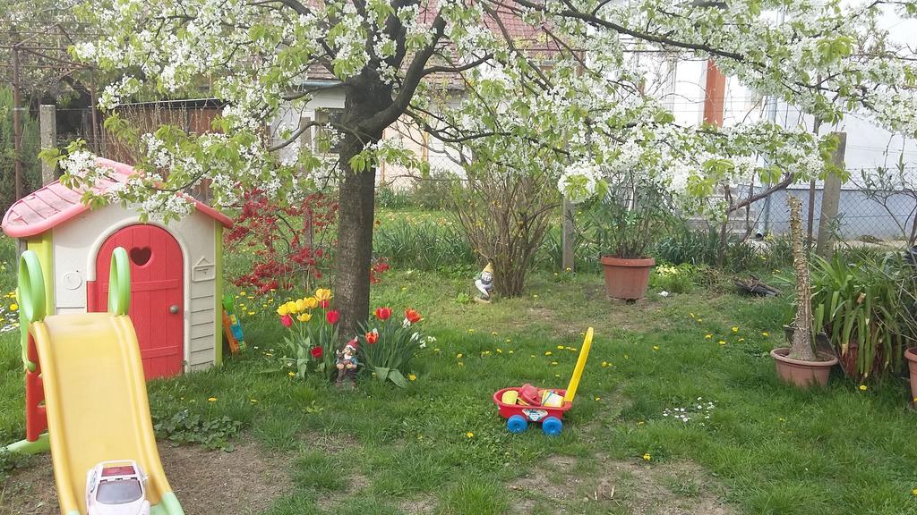 Álom Kuckó Apartman Zalaegerszeg Exterior foto